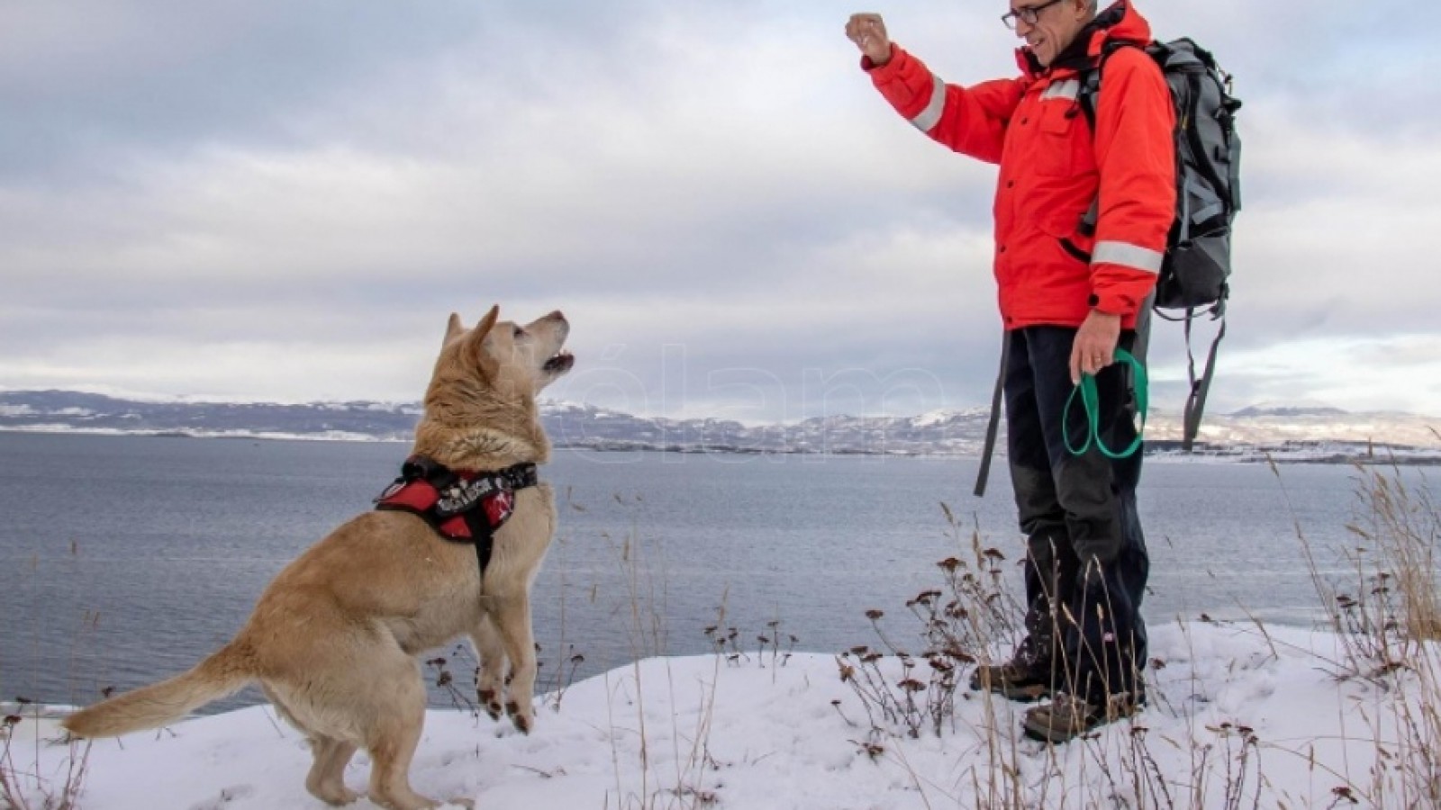 'Tango', el perro que salvó a un joven sepultado por una avalancha en Ushuaia