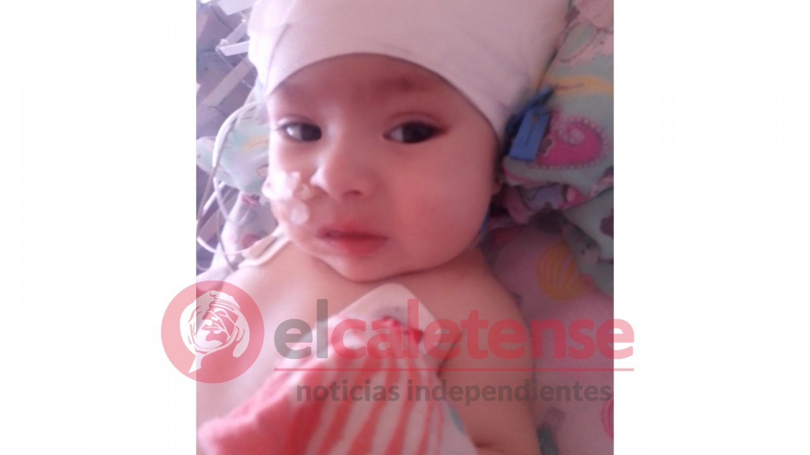 Pequeña guerrera: Rubí la beba de la boxeadora Alejandra Aparicio saldrá de terapia intensiva