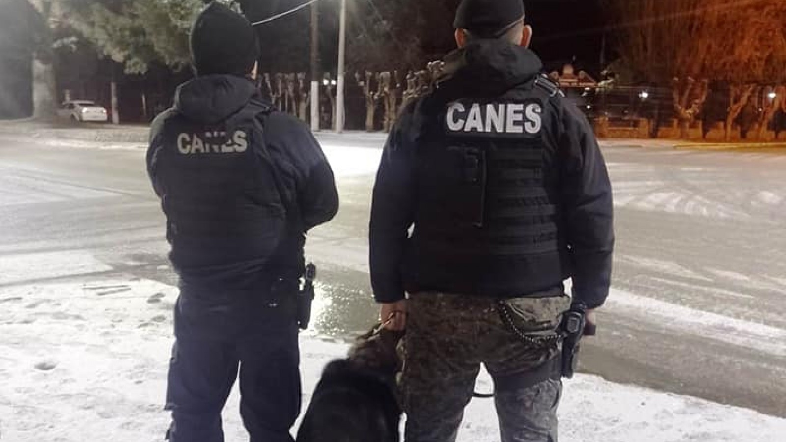 El Calafate: policía desplegó controles preventivos