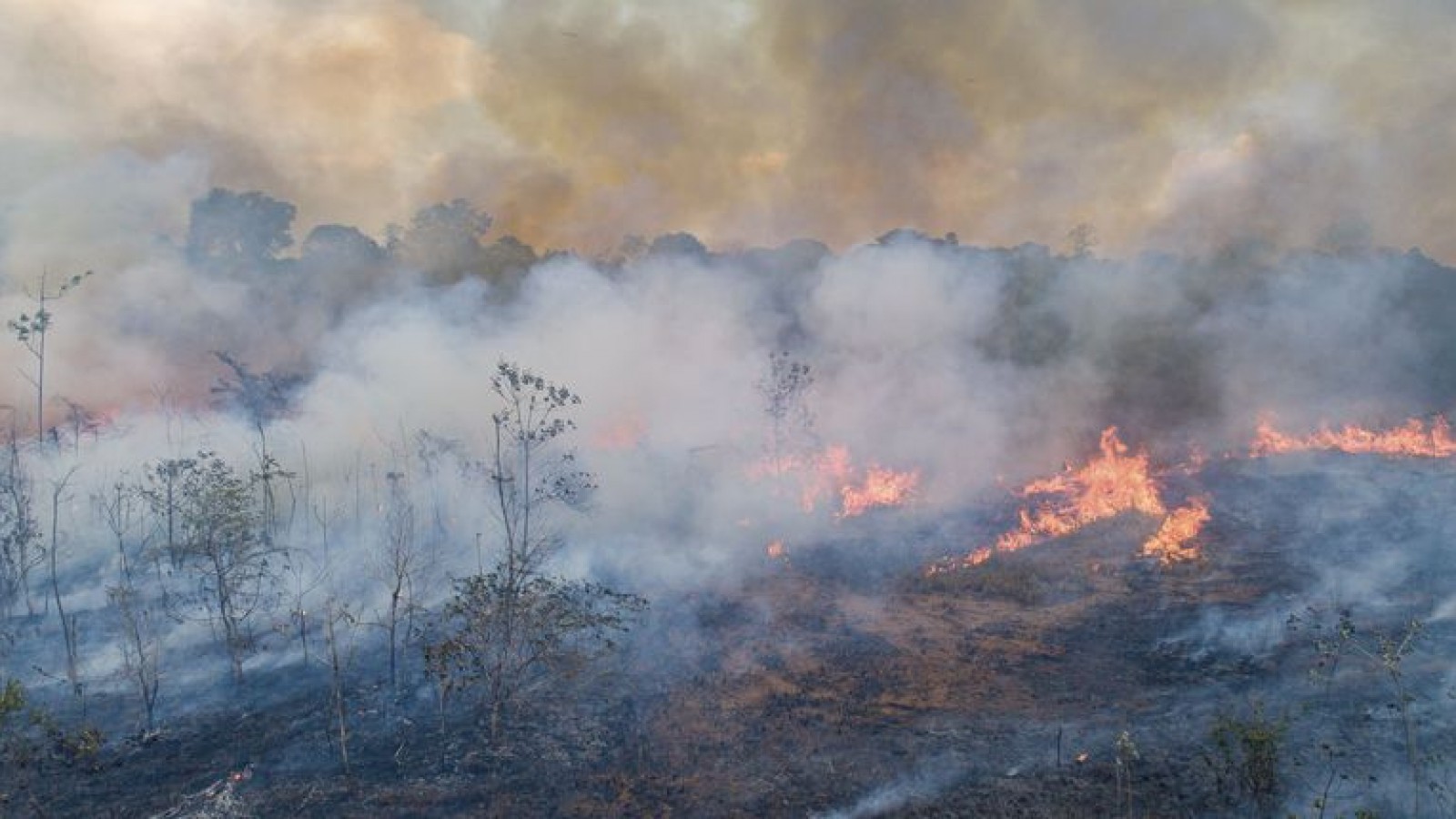 Volvieron los incendios en la Patagonia
