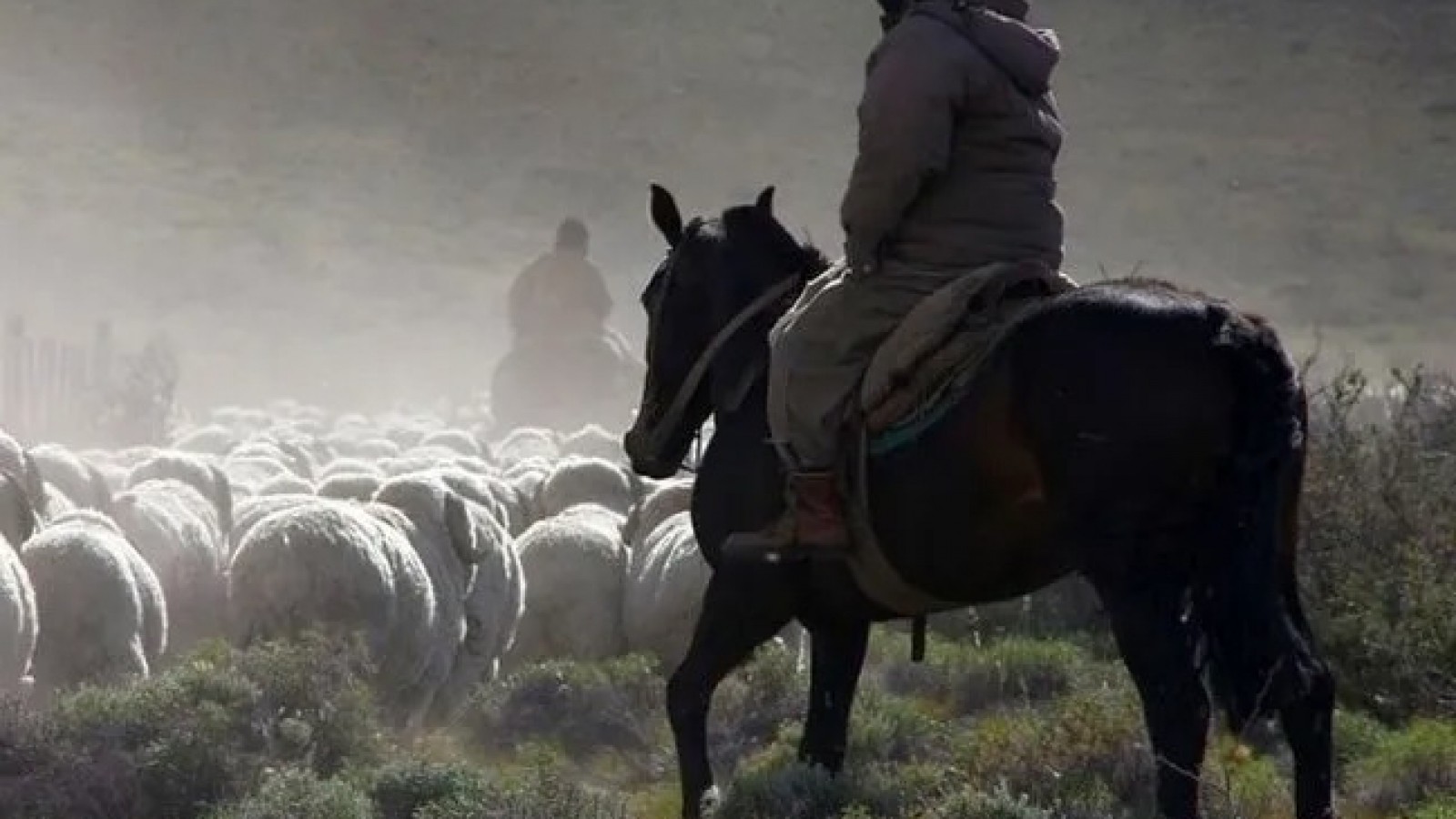 Se llevaron hasta armas del lugar. (Foto ilustrativa)