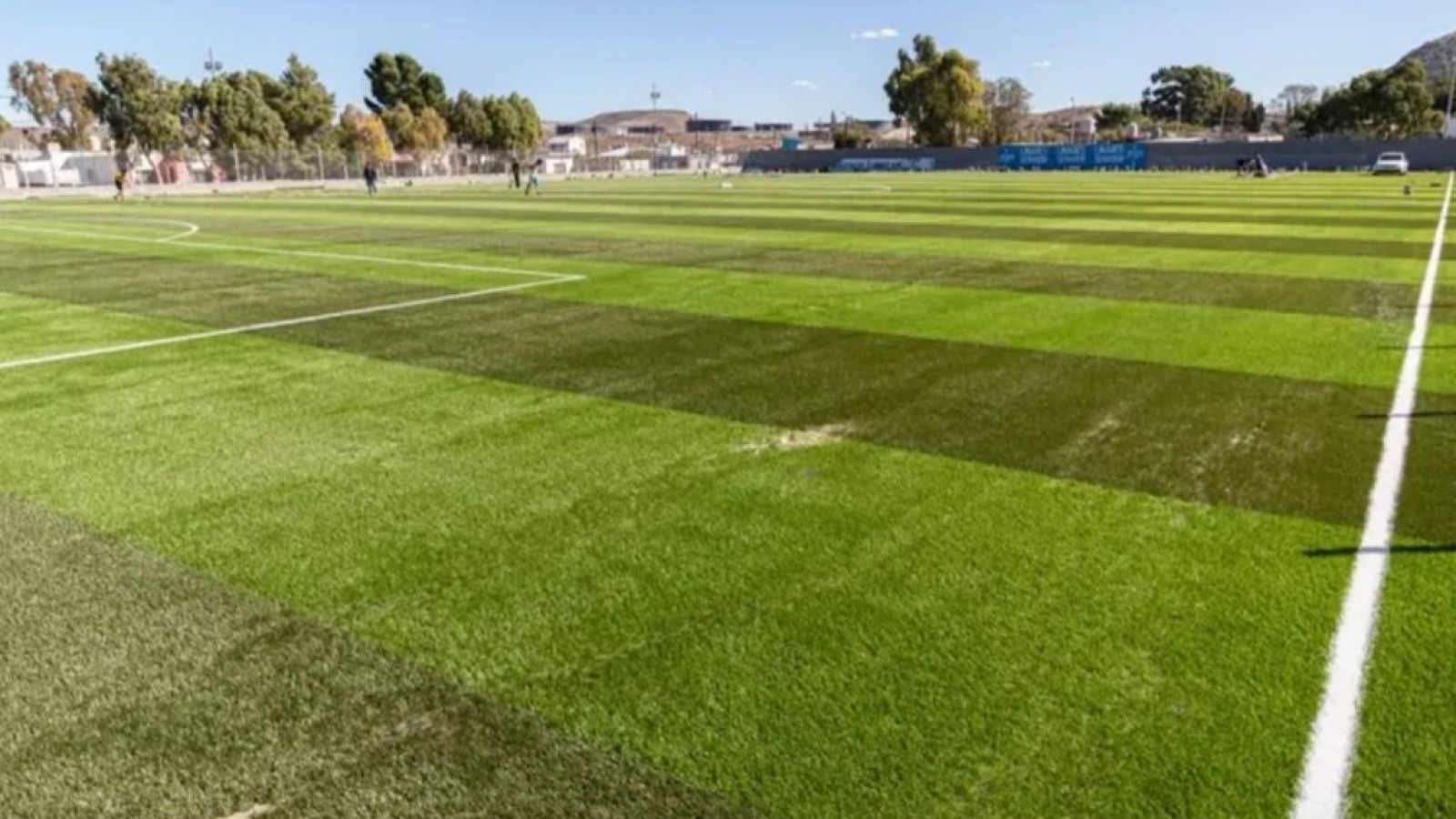 El suceso encendió todas las alarmas