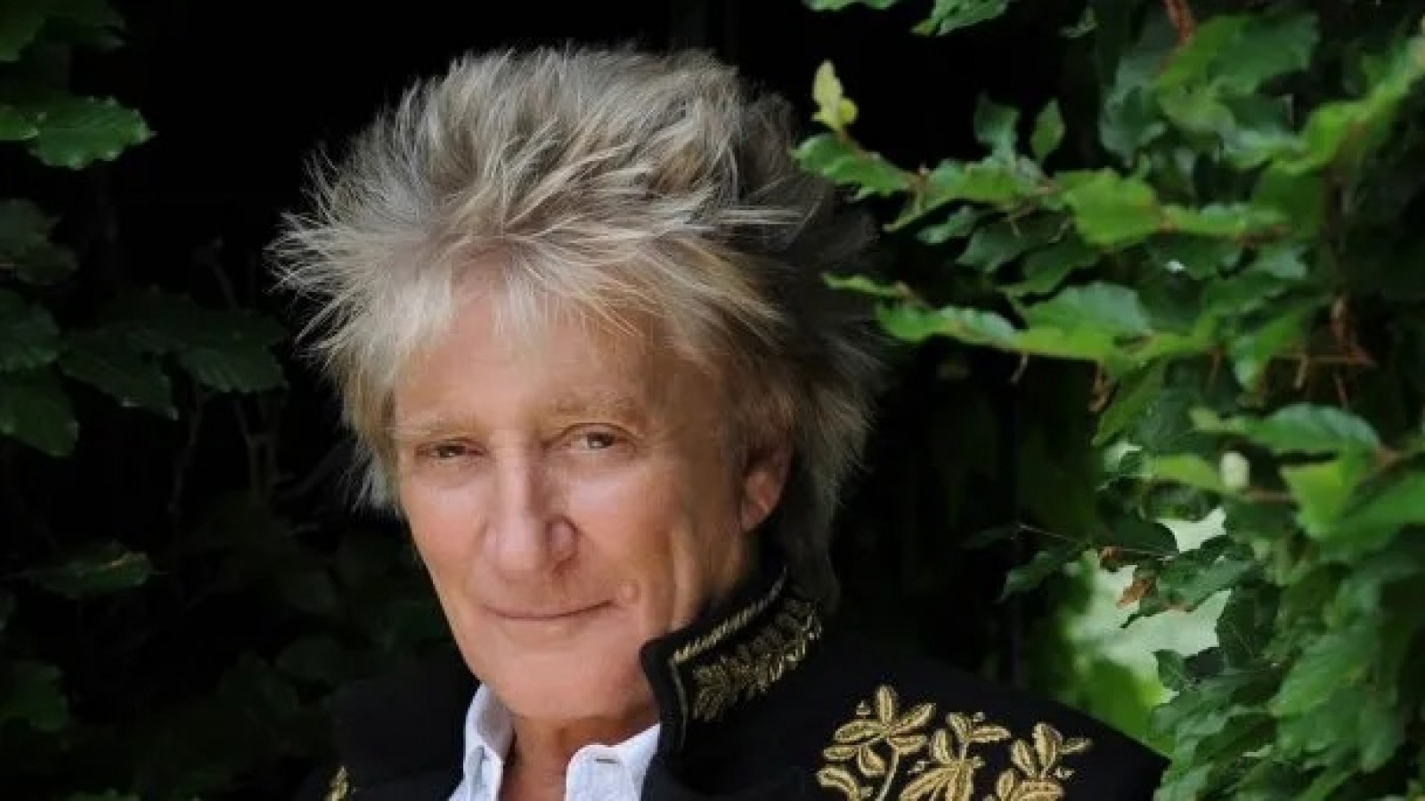 Cantante britanico Rod Stewart