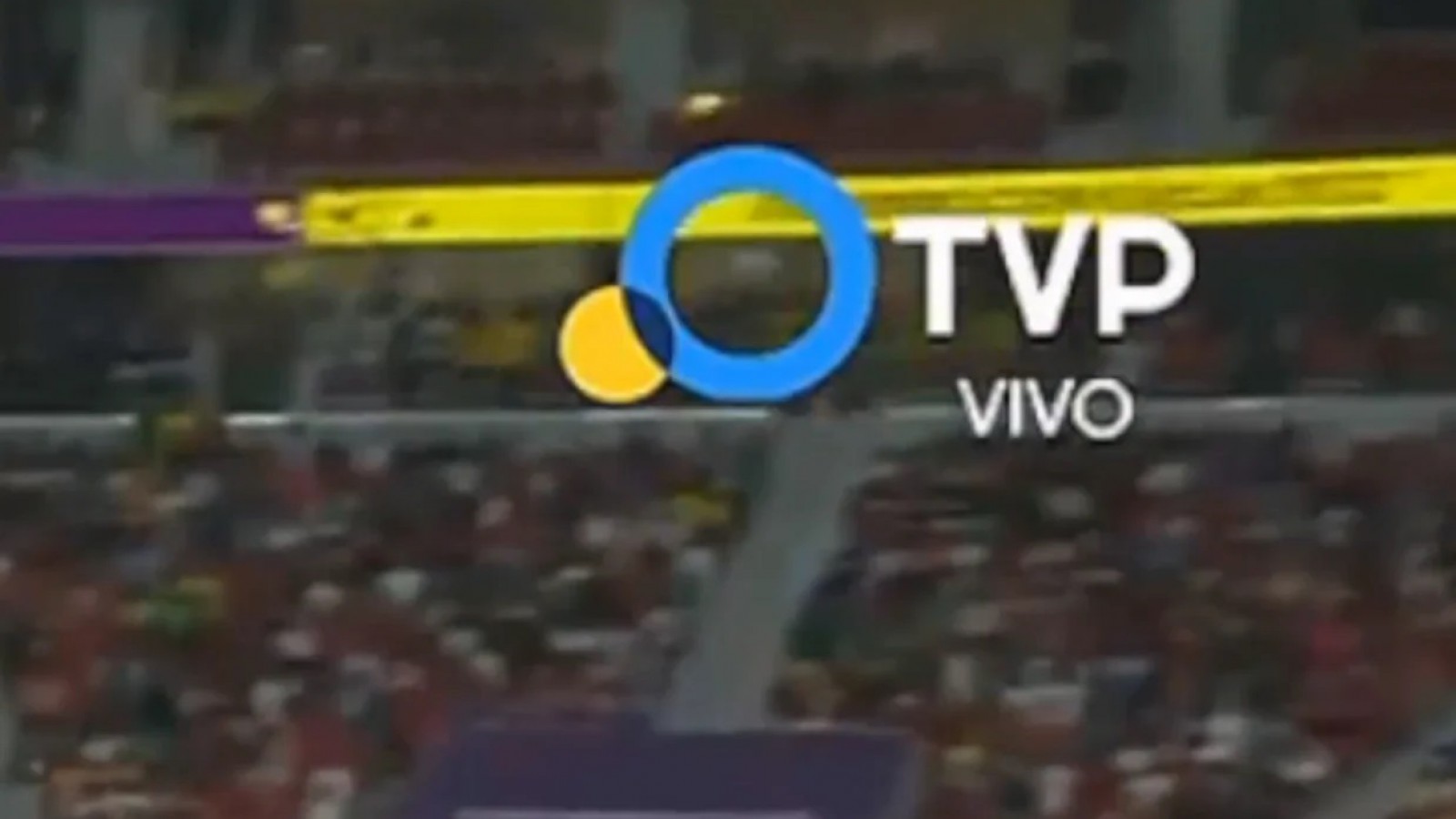 Por orden de la FIFA, la TV Pública quitó de la pantalla un listón homenaje a Bonafini