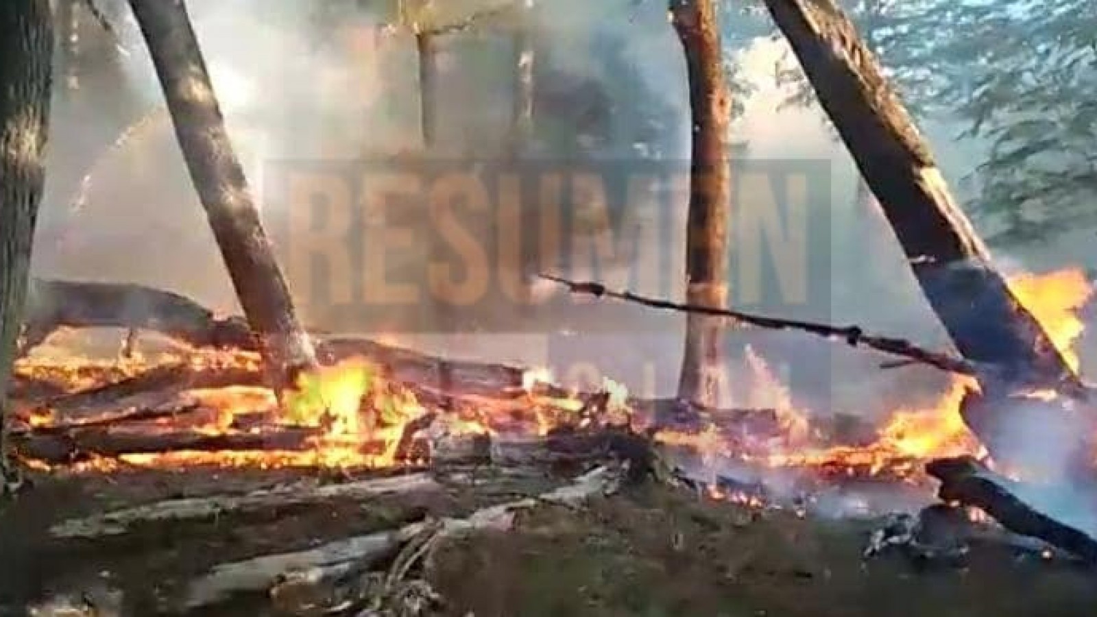 Combaten incendio forestal en cercanías de Tolhuin y se prohibió hacer fuego en áreas agrestes y sitios habilitados