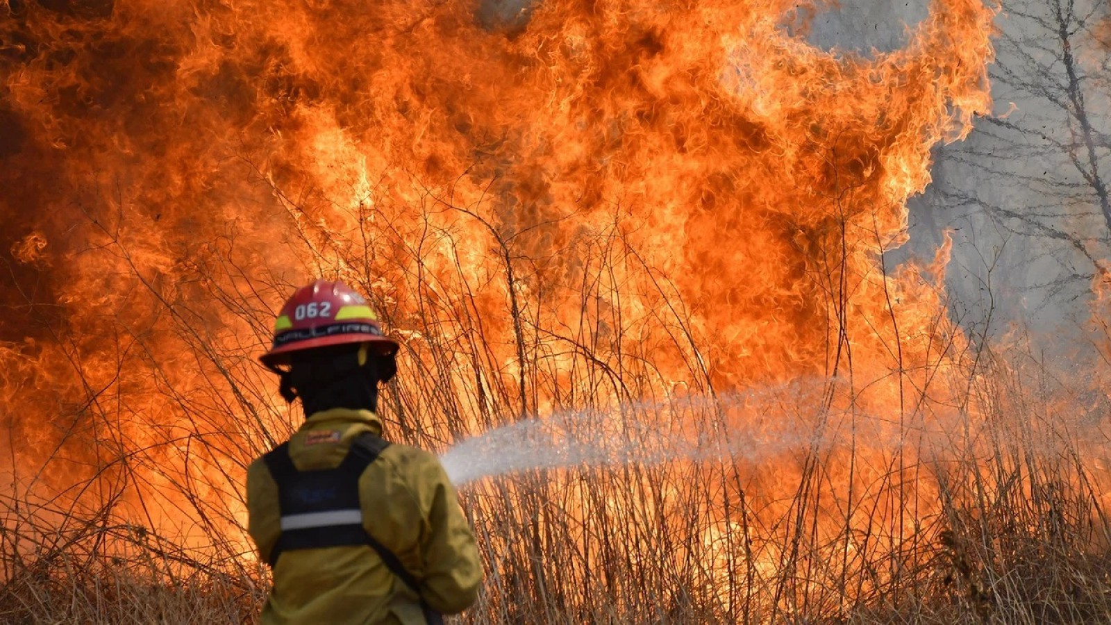 Llegó un avión hidrante para ayudar en los incendios de una provincia patagónica