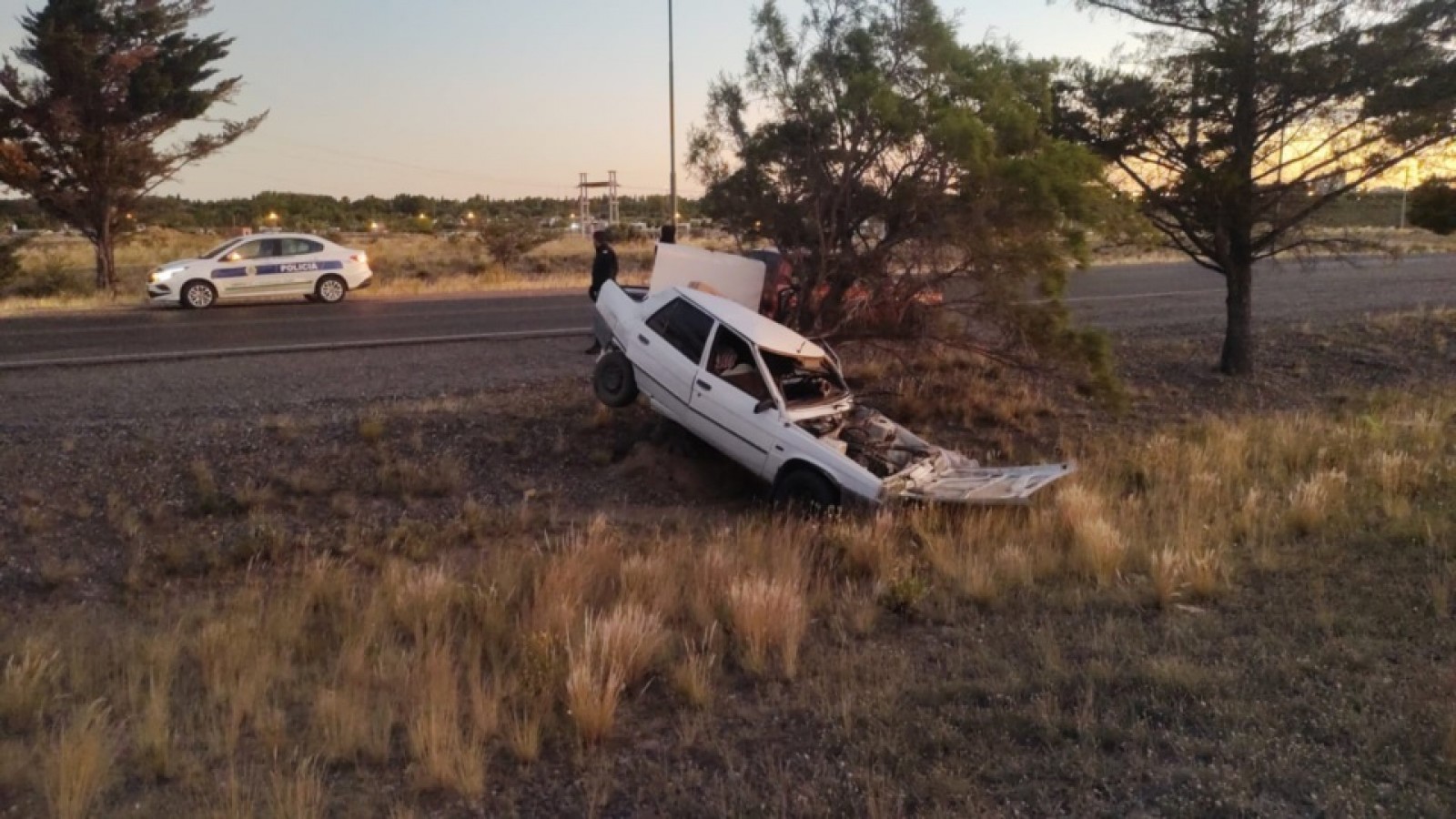 Conductor ebrio chocó con un árbol en Ruta 25