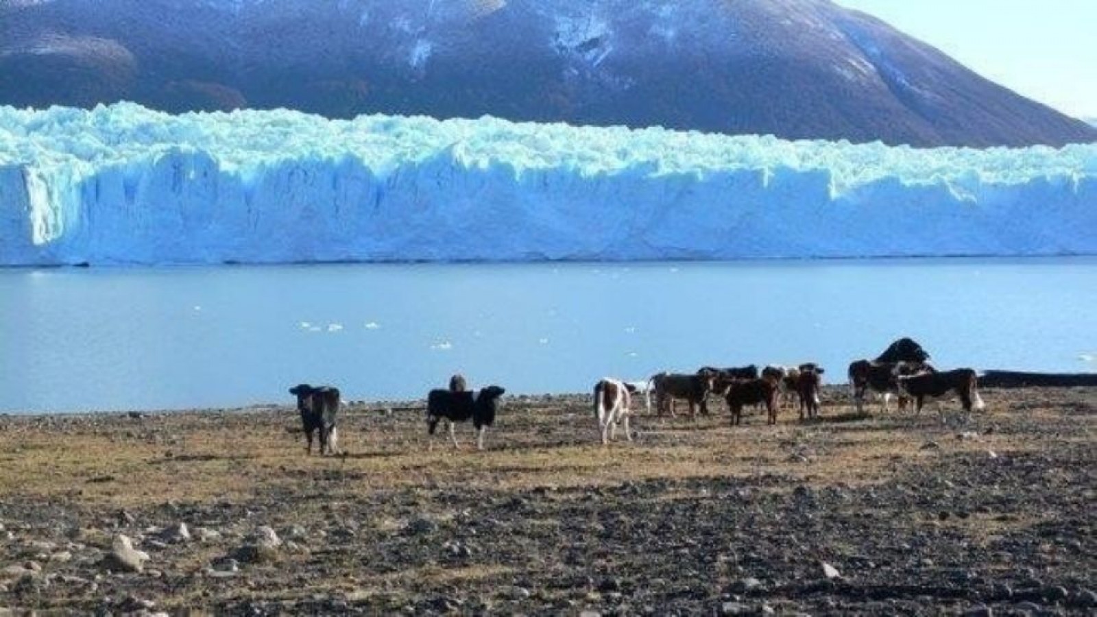 Historias de Patagonia: Harry Hilden, el gaucho que vino de Finlandia