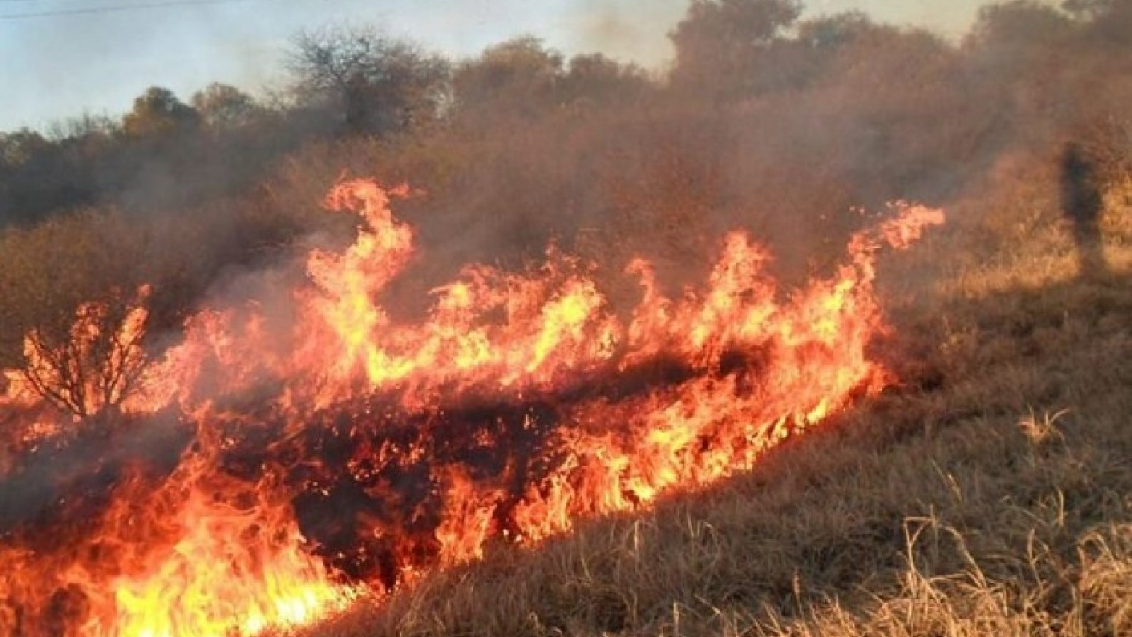 Trelew-Madryn: corte total en Ruta 3 por un incendio de pastizales