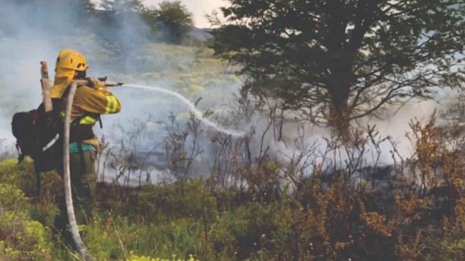 Extinguen el incendio en el Parque Nacional Los Glaciares