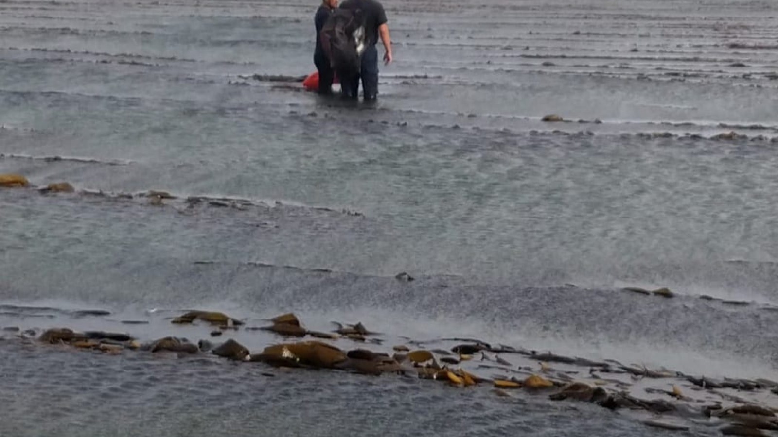 Desesperada búsqueda de dos jóvenes.