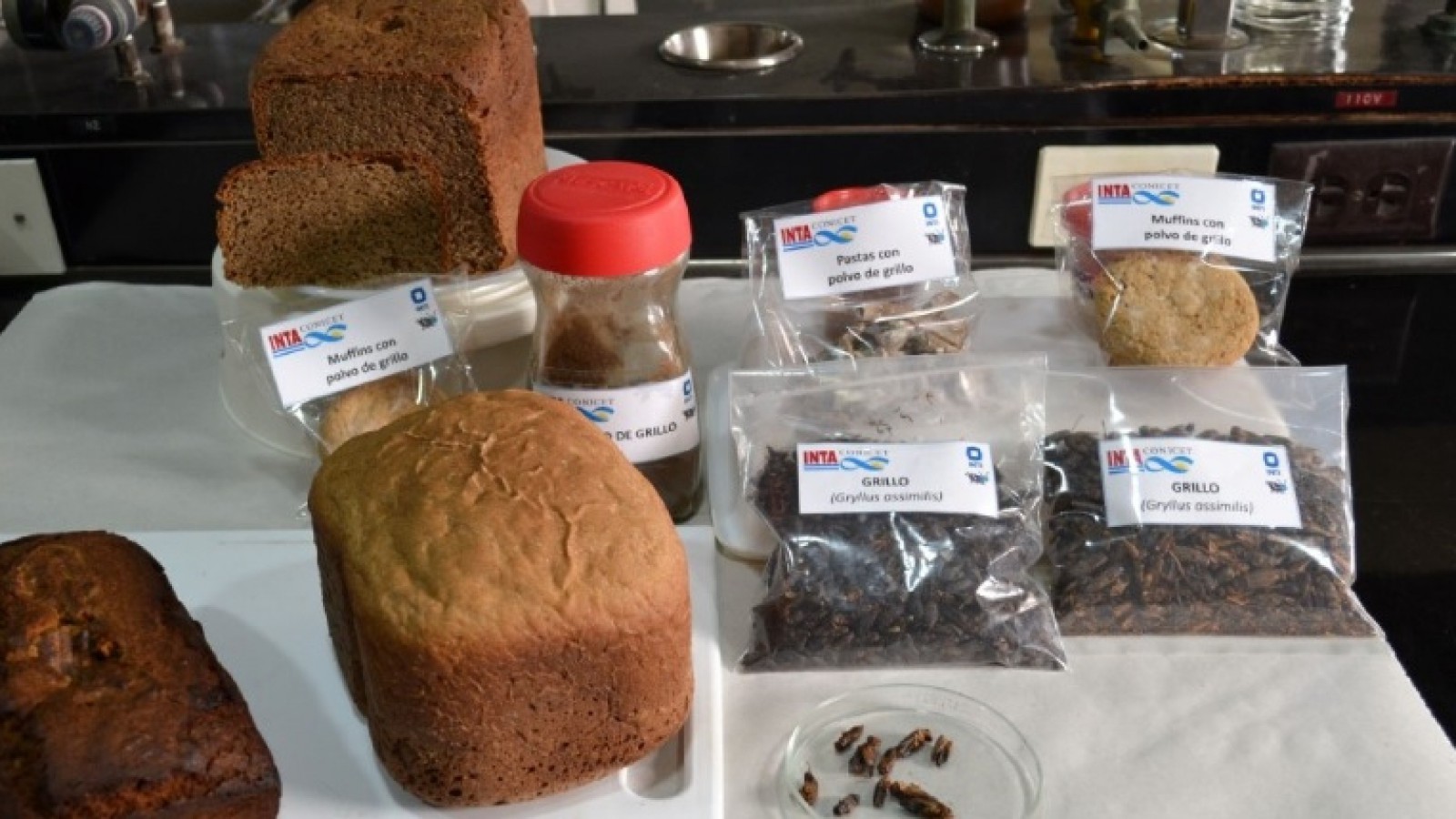 panificados con polvo de grillo