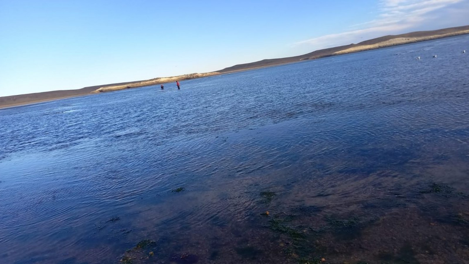 Continúa la búsqueda del joven desaparecido en San Julián