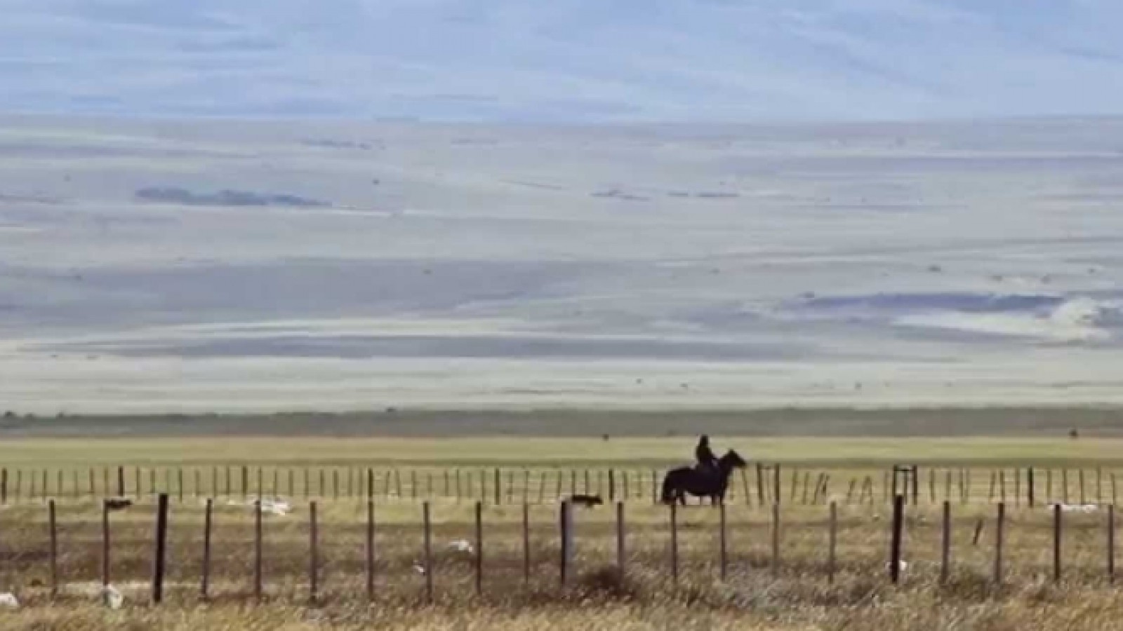 ¿Cuánto cuesta cada metro si se quiere alambrar la Patagonia?