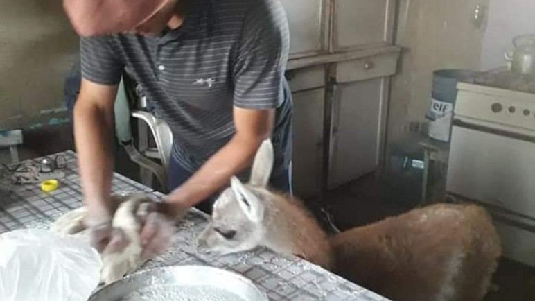 Panchito haciendo tortas fritas
