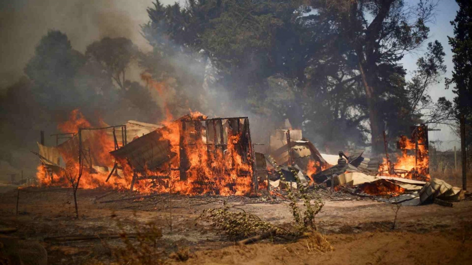 Sube a 24 la cifra de muertos por los incendios forestales en Chile