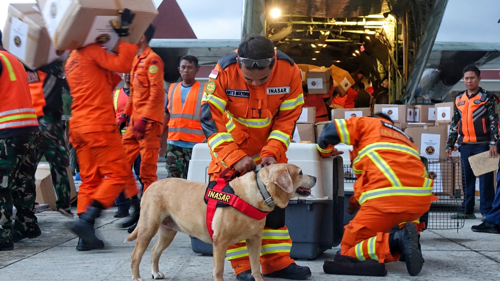 El masivo terremoto que afectó a Turquía y Siria ya dejó más de 28.000 fallecidos y cientos de miles de personas desamparadas.