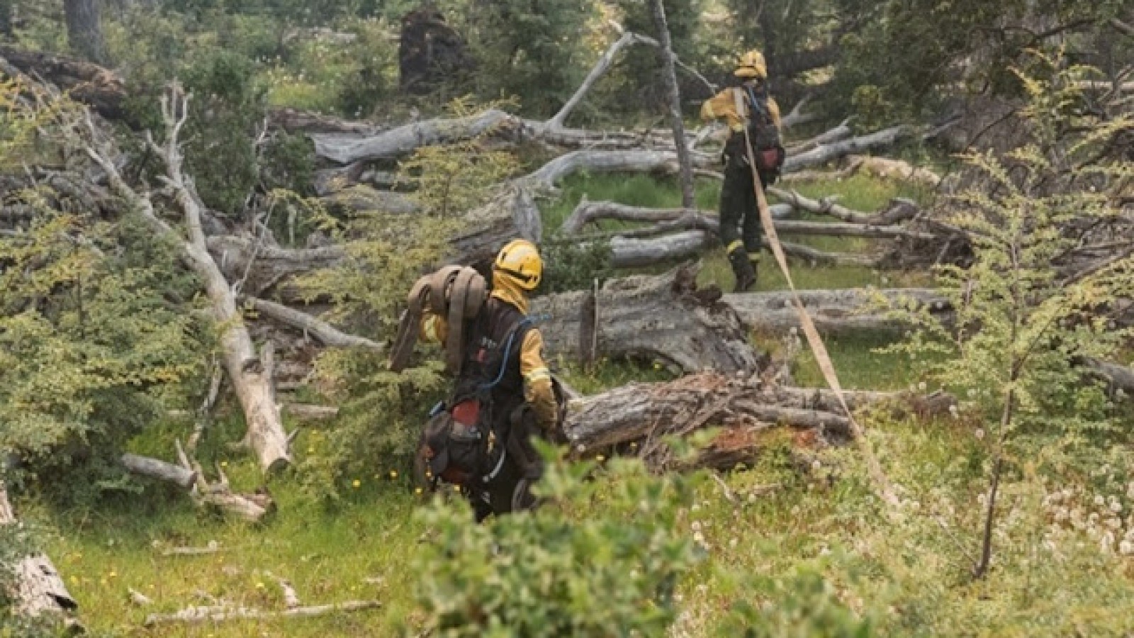 Nuevo incendio forestal en cercania del rio Lainez