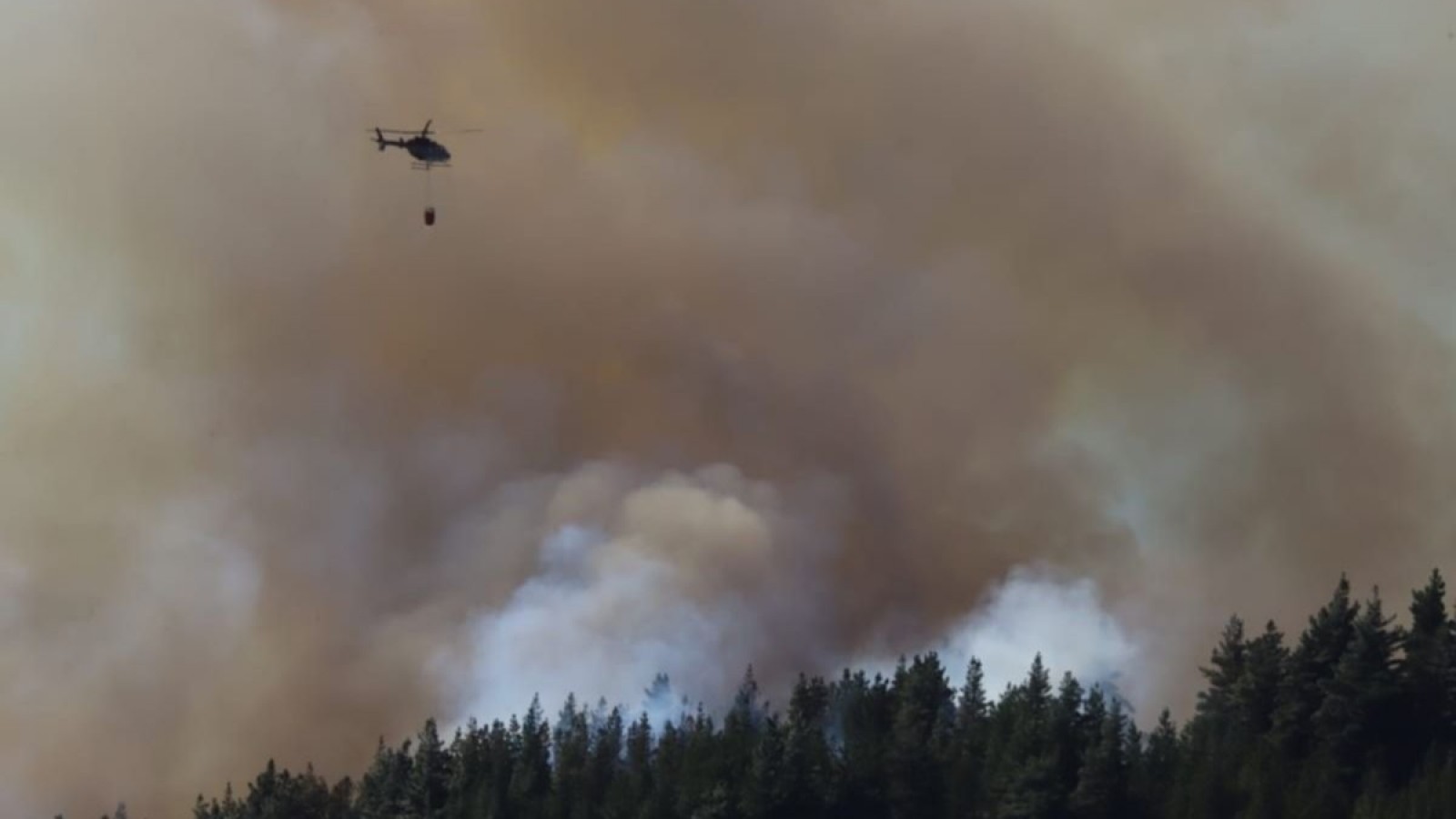 El incendio en El Pedregoso sería intencional