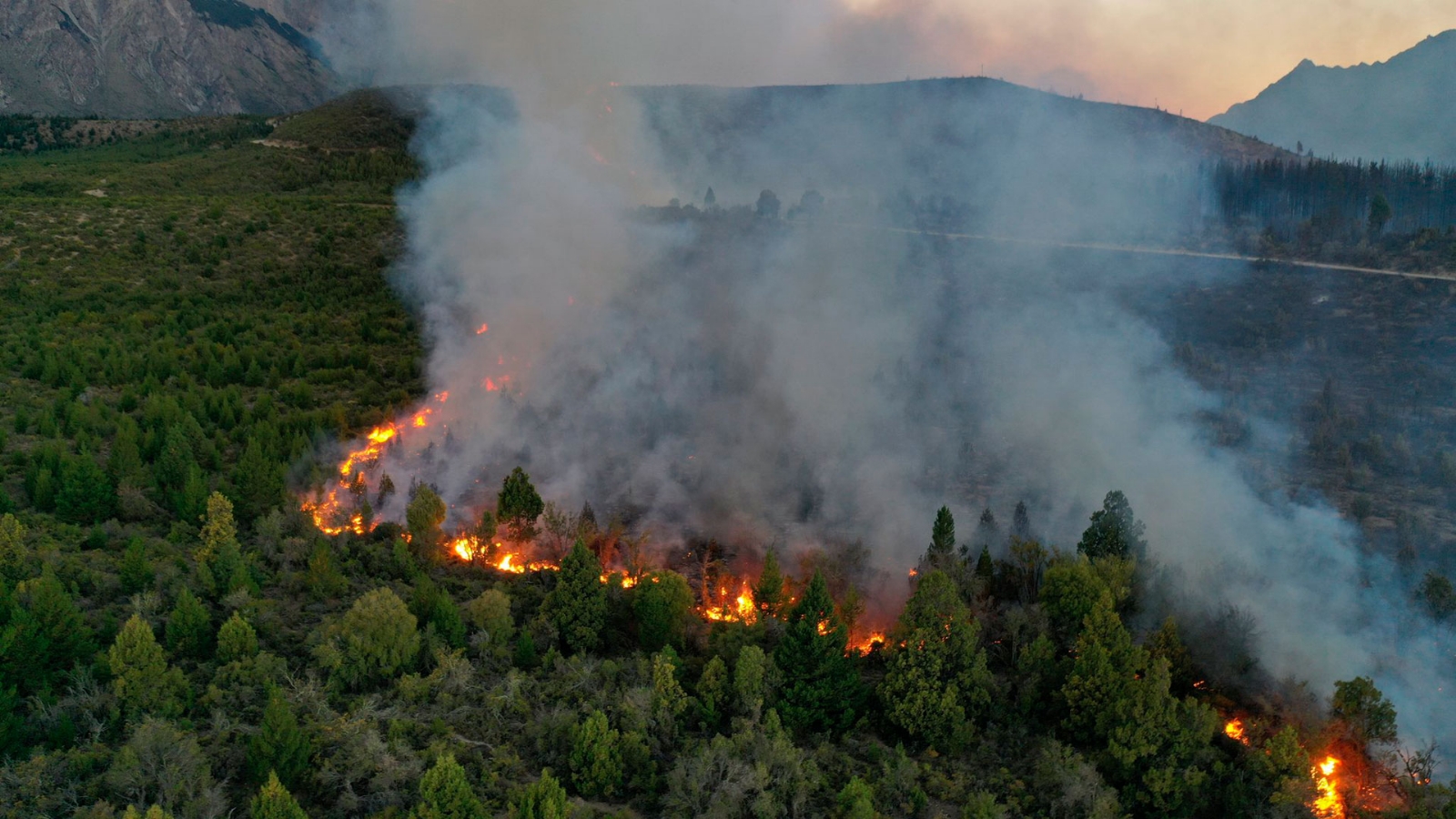 Ambiente presentó un denuncia al presunto autor del incendio de 220 hectáreas en El Bolsón