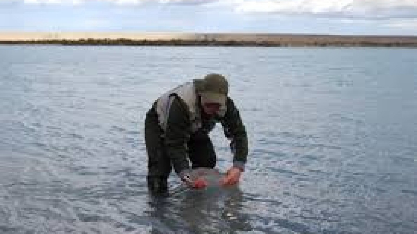Del 24 al 26 de marzo del 2023 se llevará a cabo la Fiesta Nacional de la Trucha Steelhead en Piedra Buena
