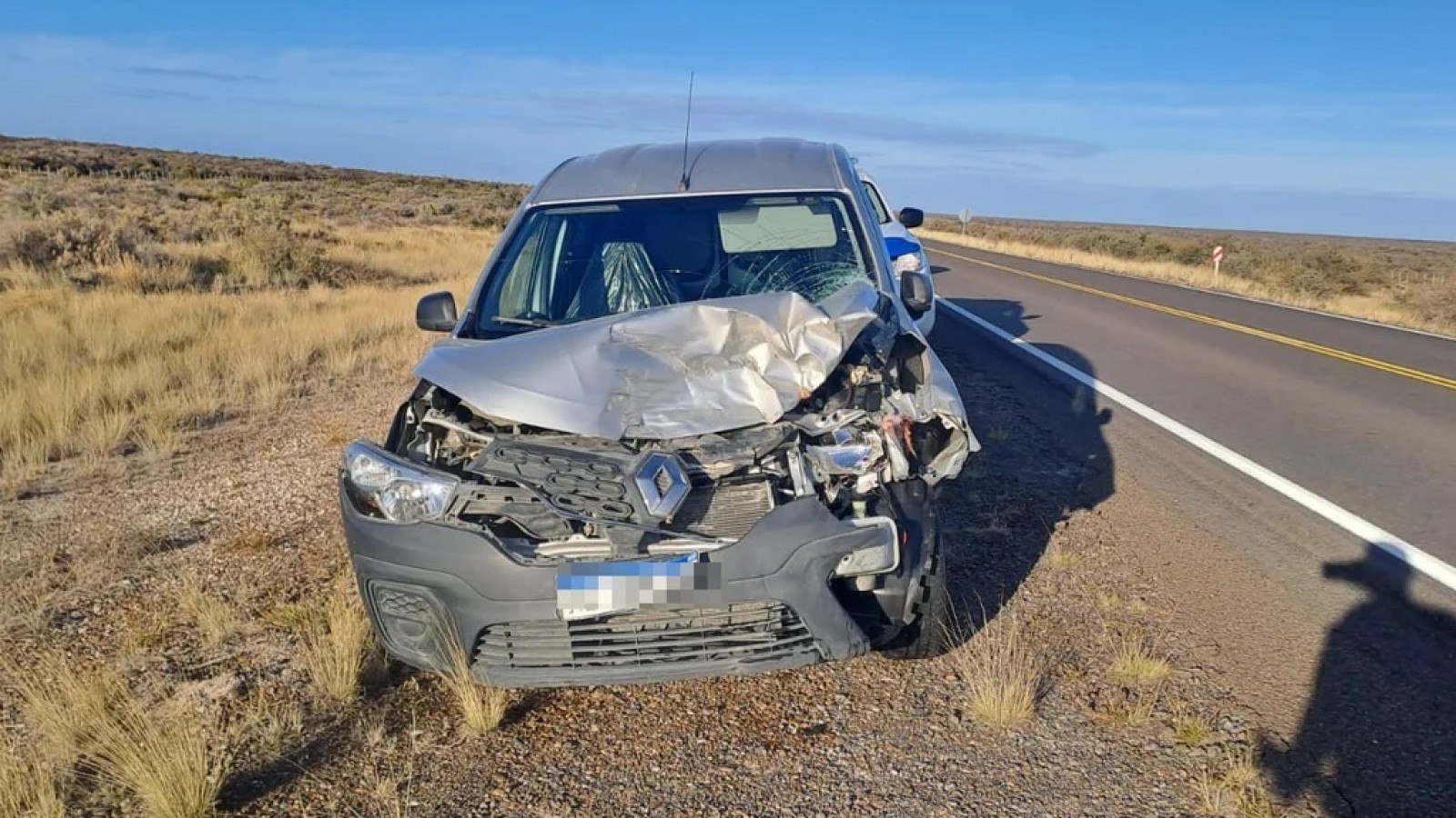 Chocó contra un guanaco que se le cruzó en la Ruta 3