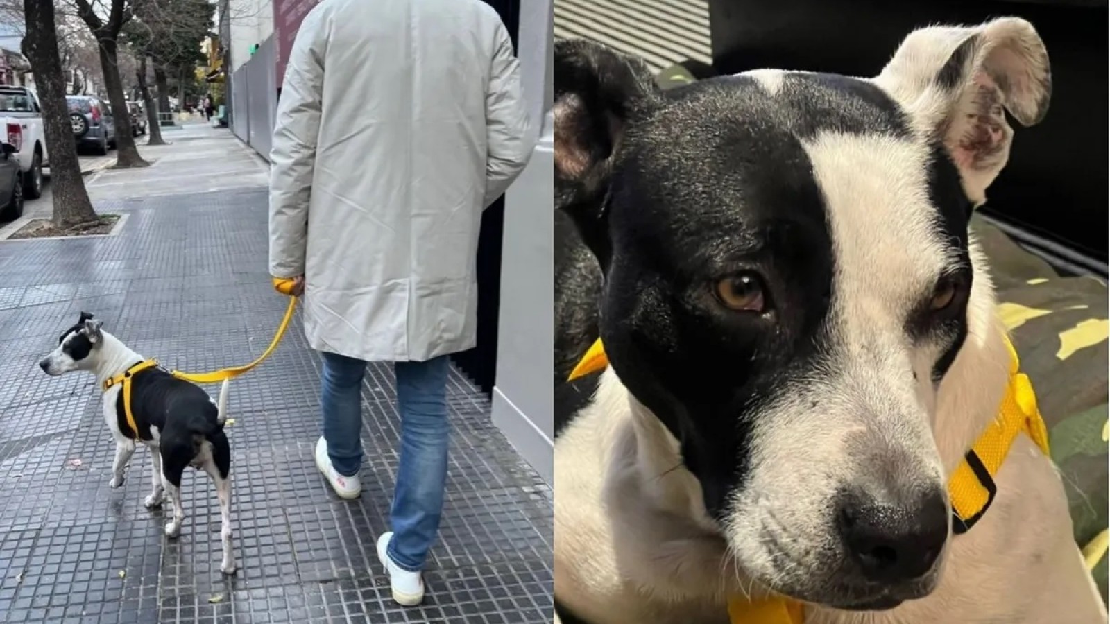 Jorge Rial mostró el nuevo integrante de su familia en medio de la pelea a muerte con su hija Morena