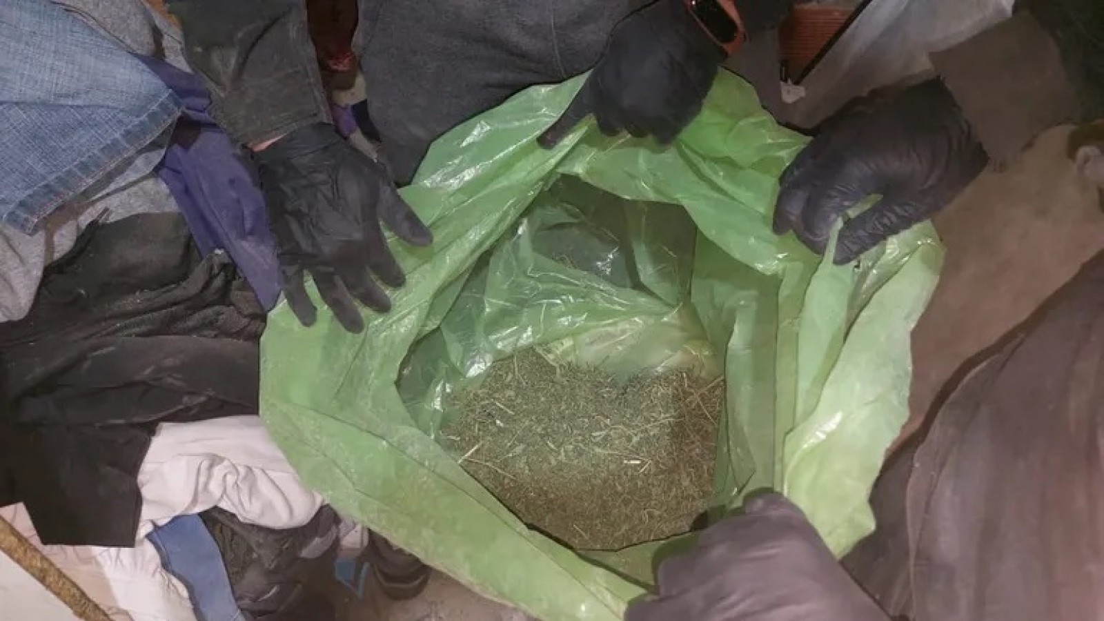 Secuestran más de 200 gramos de marihuana y detienen a dos hermanos por narcomenudeo