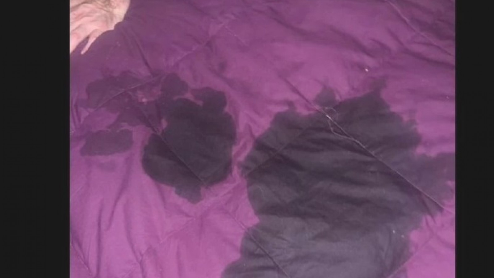 La polémica foto que publicó Fátima Florez y después borró: “Es la mano de Milei”