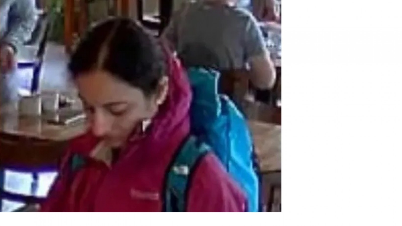 Preocupación y se intensifica la búsqueda de la turista perdida en El Chaltén