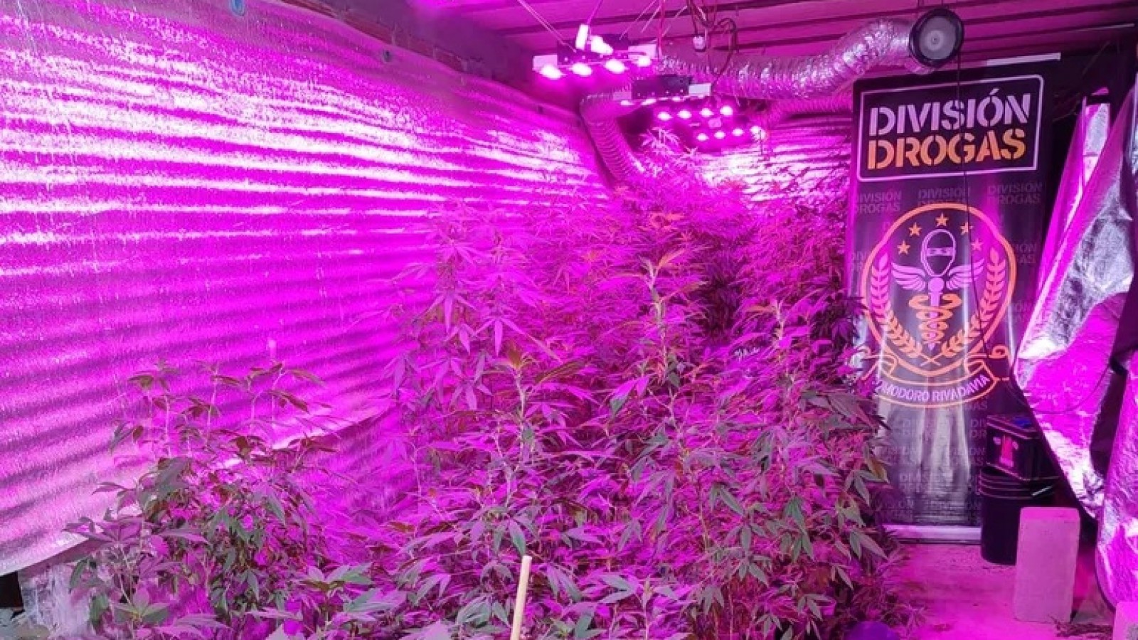 Esto encontraron detrás del Spa