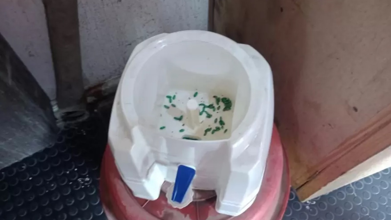 Así encontraron el dispenser de agua