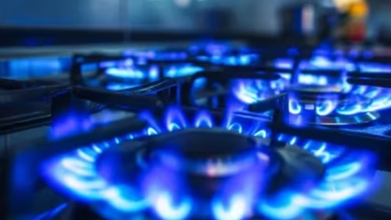 Facturas de luz y gas: el Gobierno convocará a una audiencia pública para definir los subsidios