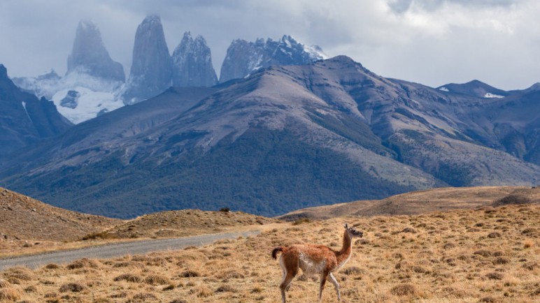 La Patagonia tiene cinco rutas "imperdibles" según National Geographic