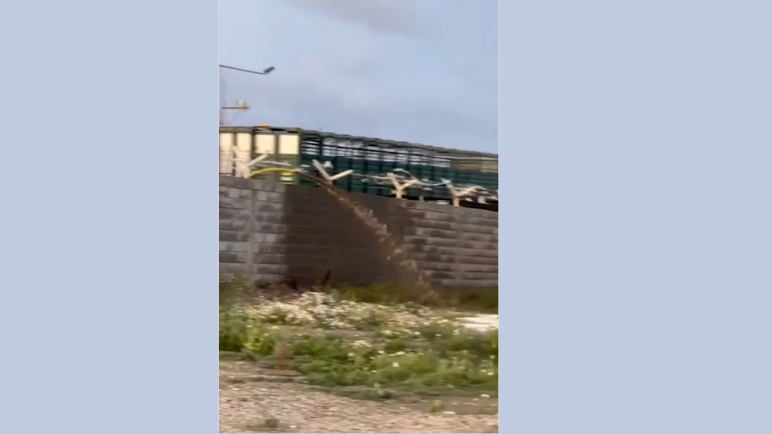 Medio ambiente: deliberante pide realizar controles a frigorífico en forma conjunta