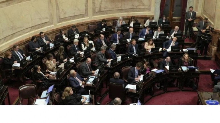 Repudio: la caída de Ficha Limpia golpeó la imagen de todos los senadores nacionales