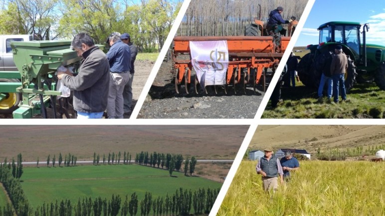 La Justicia volvió a frenar otro decreto de Milei de un organismo con fuerte presencia en Santa Cruz
