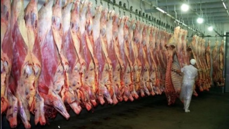 La Justicia volvió a cerrar la Barrera Sanitaria en Patagonia