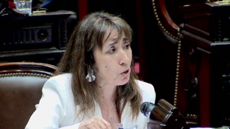 Roxana Reyes adelantó que rechazará el veto presidencial a la ley de financiamiento universitario, pero pidió "reforzar los controles"