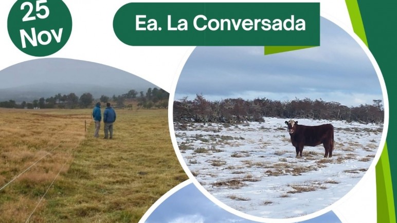 Ganadería sostenible: INTA y UNPA presentan herramientas para el manejo por ambientes