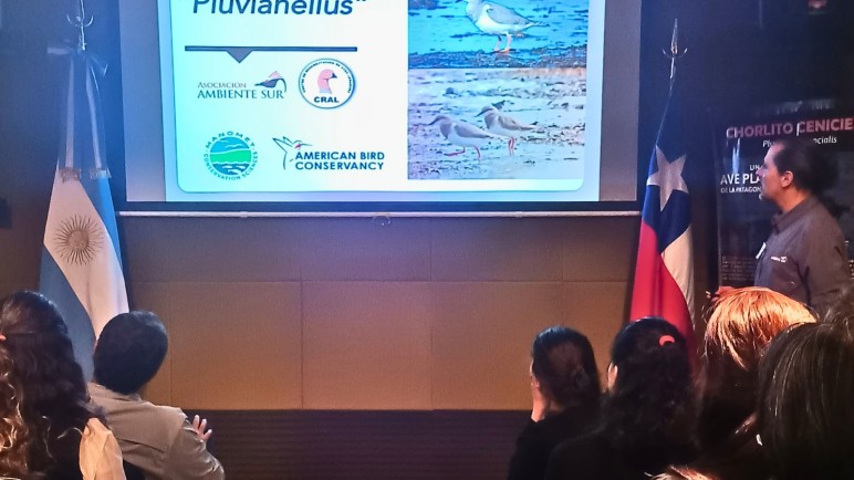 Desde Ambiente Sur se refirieron a la agenda binacional