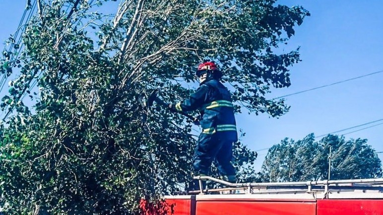 Bomberos debieron intervenir por el viento