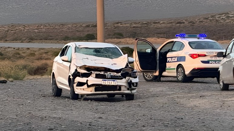 Chocaron con un caballo en la Ruta 3 y crece el reclamo por controles