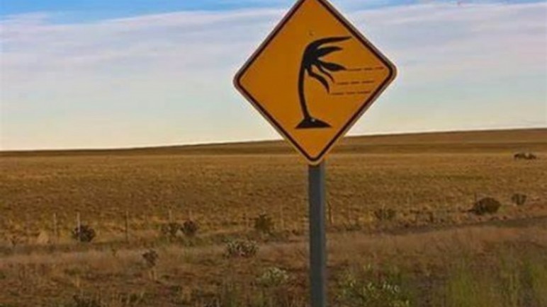 Hay alerta de fuertes vientos para este viernes