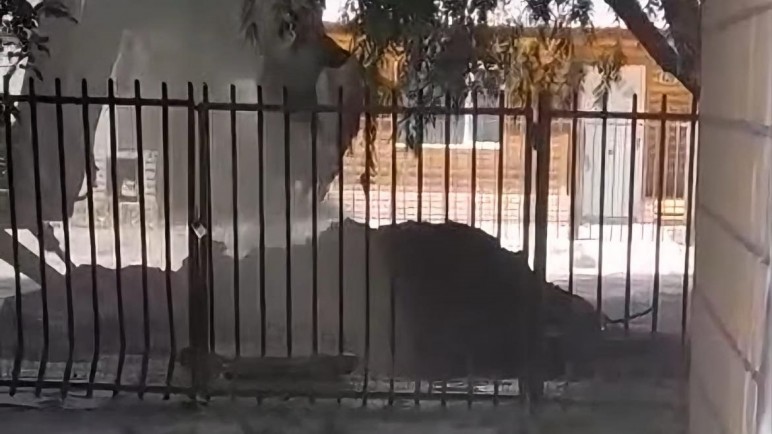 Máquina provoca fuga de gas y evacuación preventiva