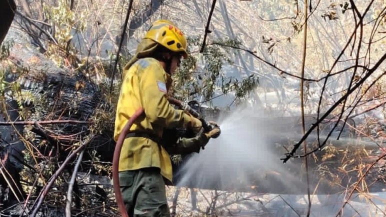 El fuego sigue activo en Chubut