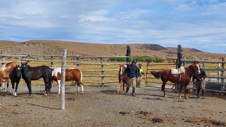 La Policía intervino ante la situación
