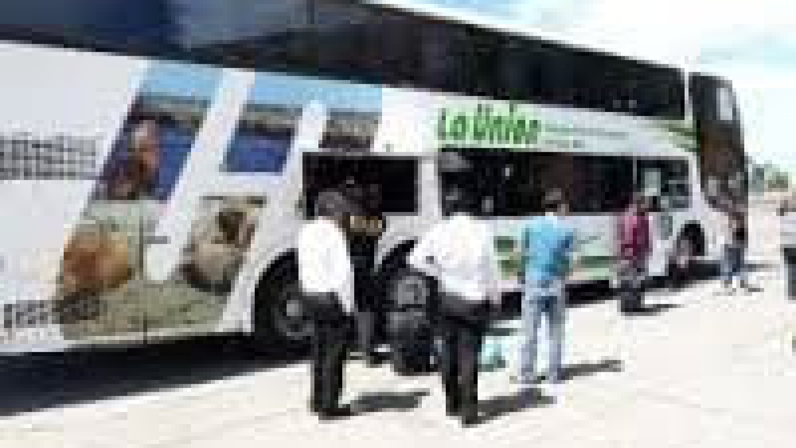 Descubren a mayoría de colectivos con infracciones