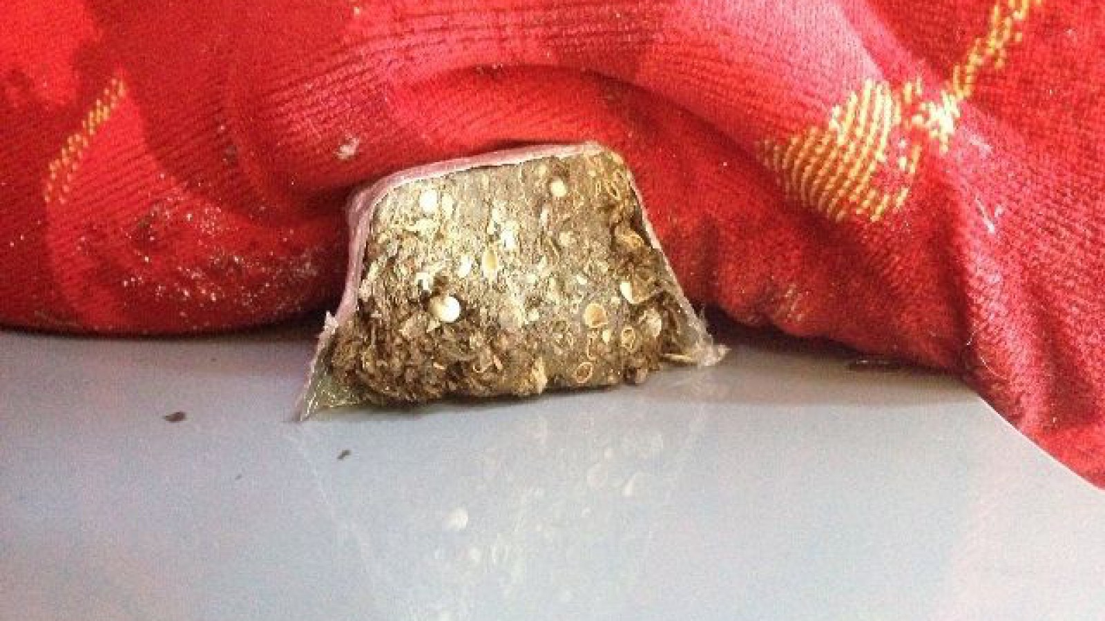 Policía, en control de rutina, halla estupefacientes y arma de fuego