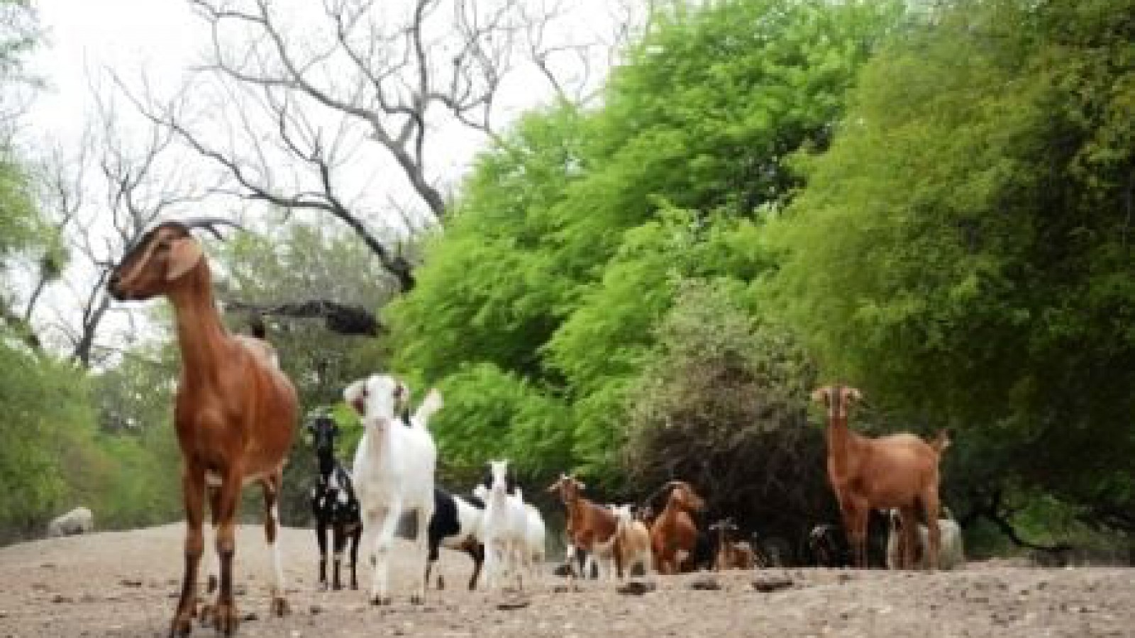 El Gobierno anunciará inversiones por U$S 25 Mns para economías regionales